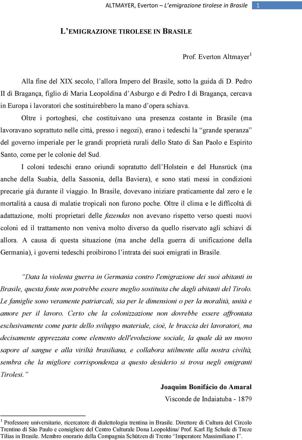 Oltre i portoghesi, che costituivano una presenza costante in Brasile (ma lavoravano soprattuto nelle città, presso i negozi), erano i tedeschi la grande speranza del governo imperiale per le grandi