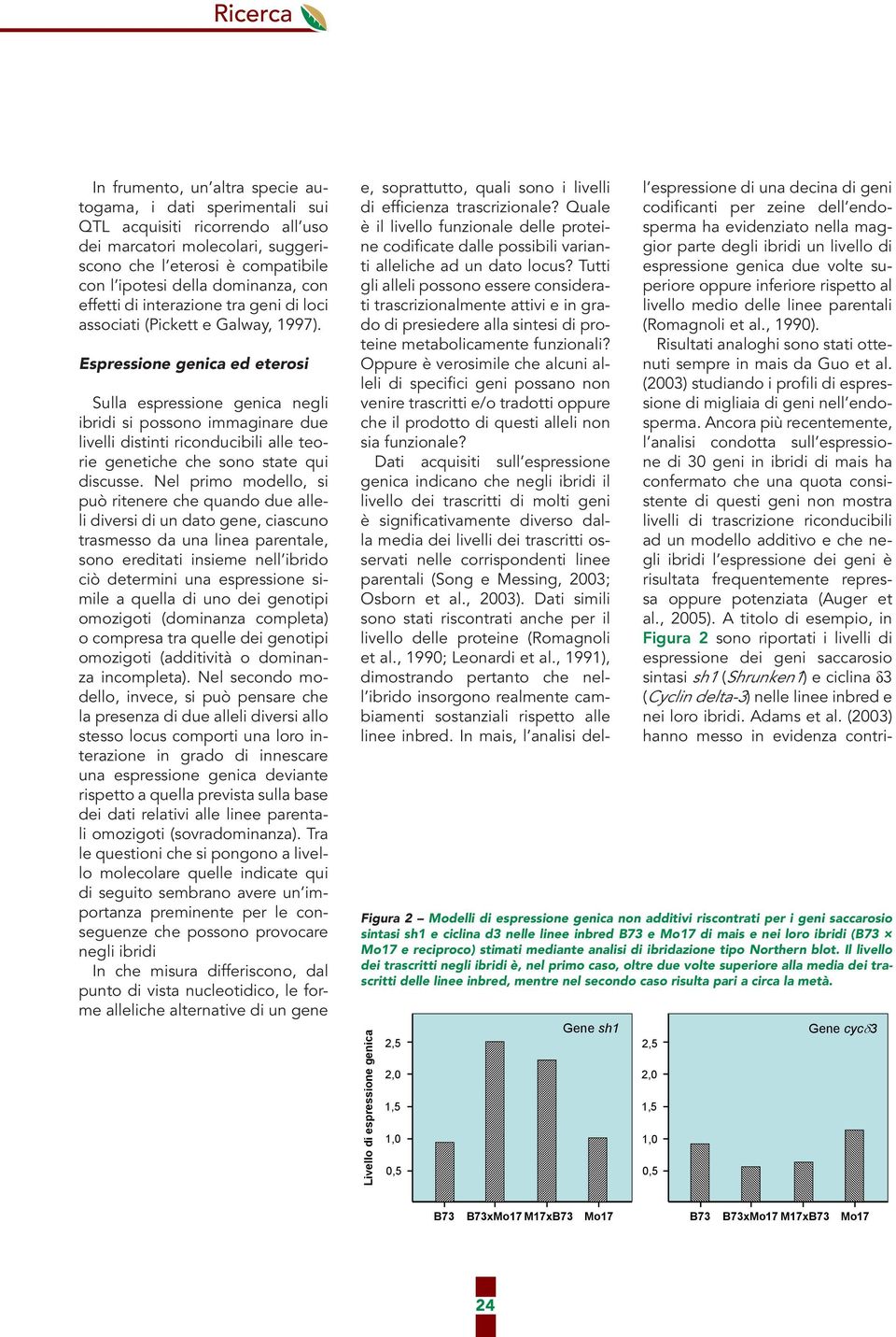 Espressione genica ed eterosi Sulla espressione genica negli ibridi si possono immaginare due livelli distinti riconducibili alle teorie genetiche che sono state qui discusse.