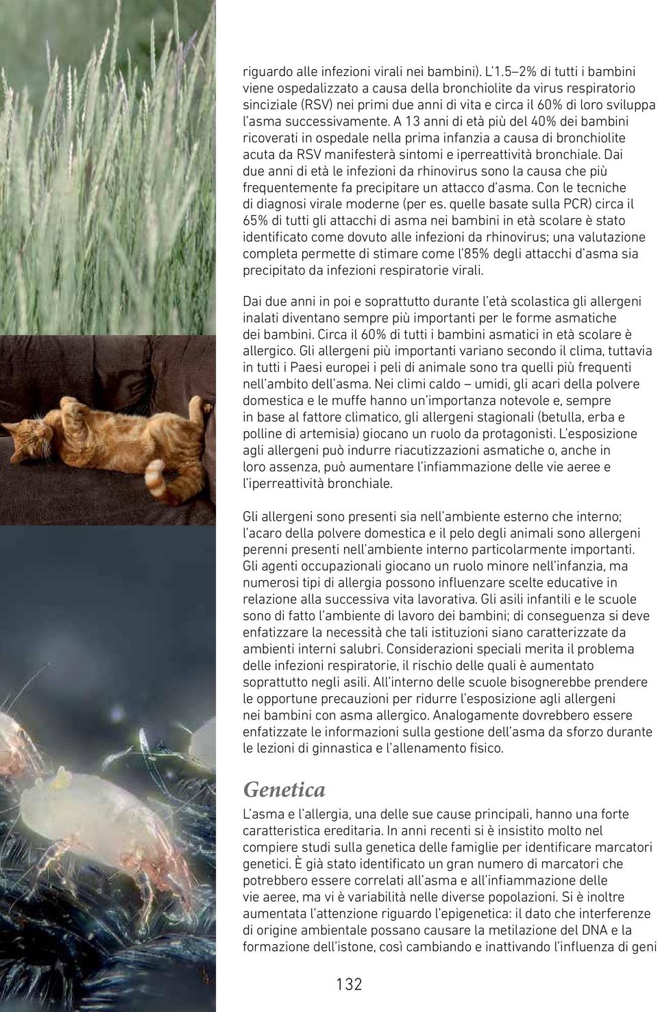 A 13 anni di età più del 4% dei bambini ricoverati in ospedale nella prima infanzia a causa di bronchiolite acuta da RSV manifesterà sintomi e iperreattività bronchiale.