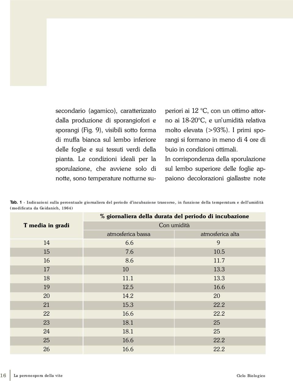 I primi sporangi si formano in meno di 4 ore di buio in condizioni ottimali. In corrispondenza della sporulazione sul lembo superiore delle foglie appaiono decolorazioni giallastre note Tab.