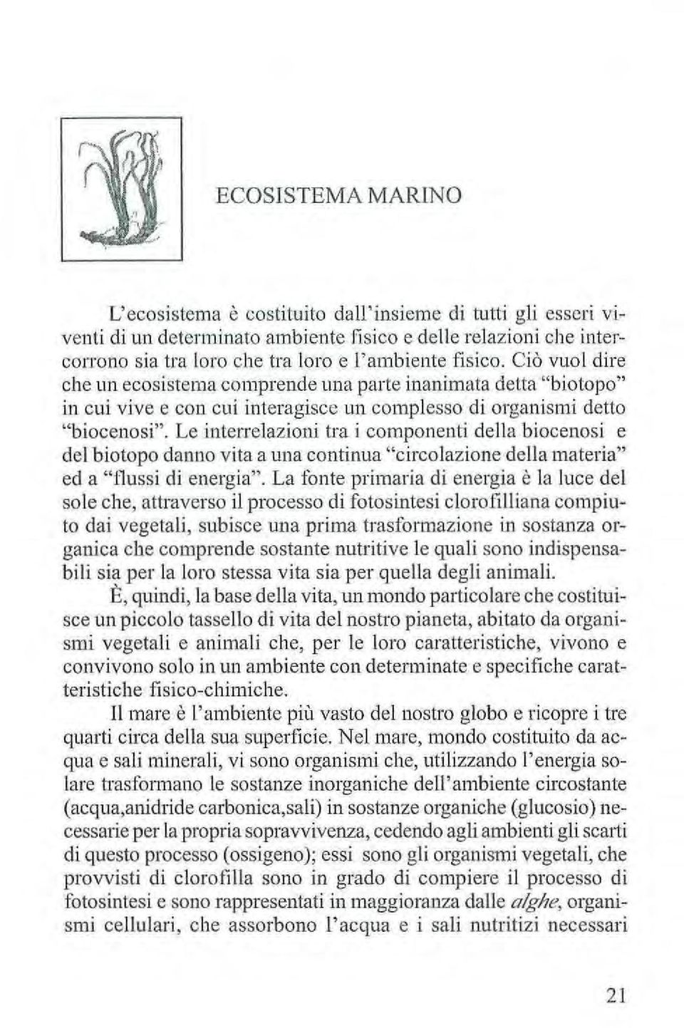 Le inten elazioni tra i componenti della biocenosi e del biotopo danno vita a una continua "circolazione della materia" ed a "tlussi di energia".