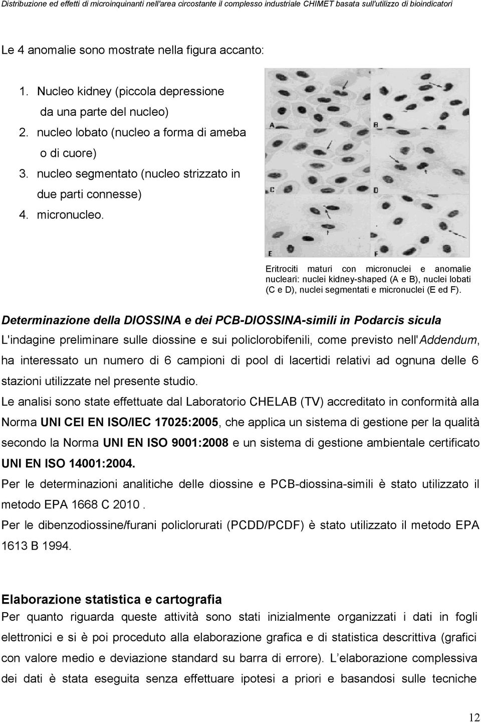 Eritrociti maturi con micronuclei e anomalie nucleari: nuclei kidney-shaped (A e B), nuclei lobati (C e D), nuclei segmentati e micronuclei (E ed F).