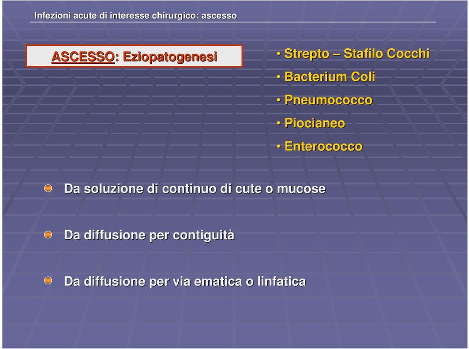 Piocianeo Enterococco Da soluzione di continuo di cute o mucose