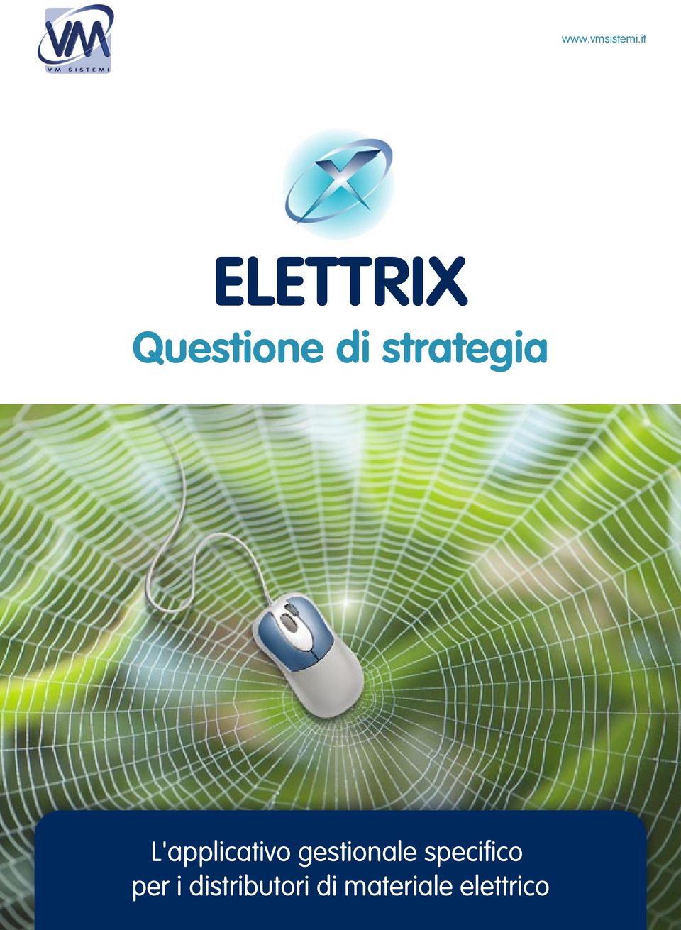 strategia L'applicativo