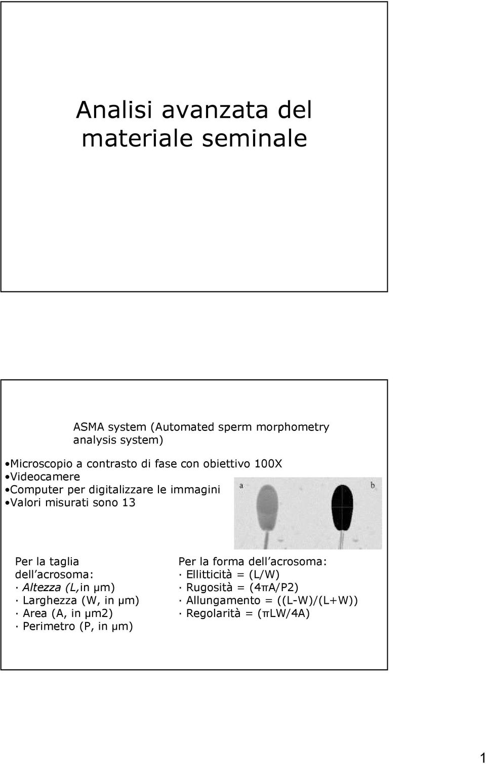 Per la taglia dell acrosoma: Altezza (L,in µm) Larghezza (W, in µm) Area (A, in µm2) Perimetro (P, in µm) Per la