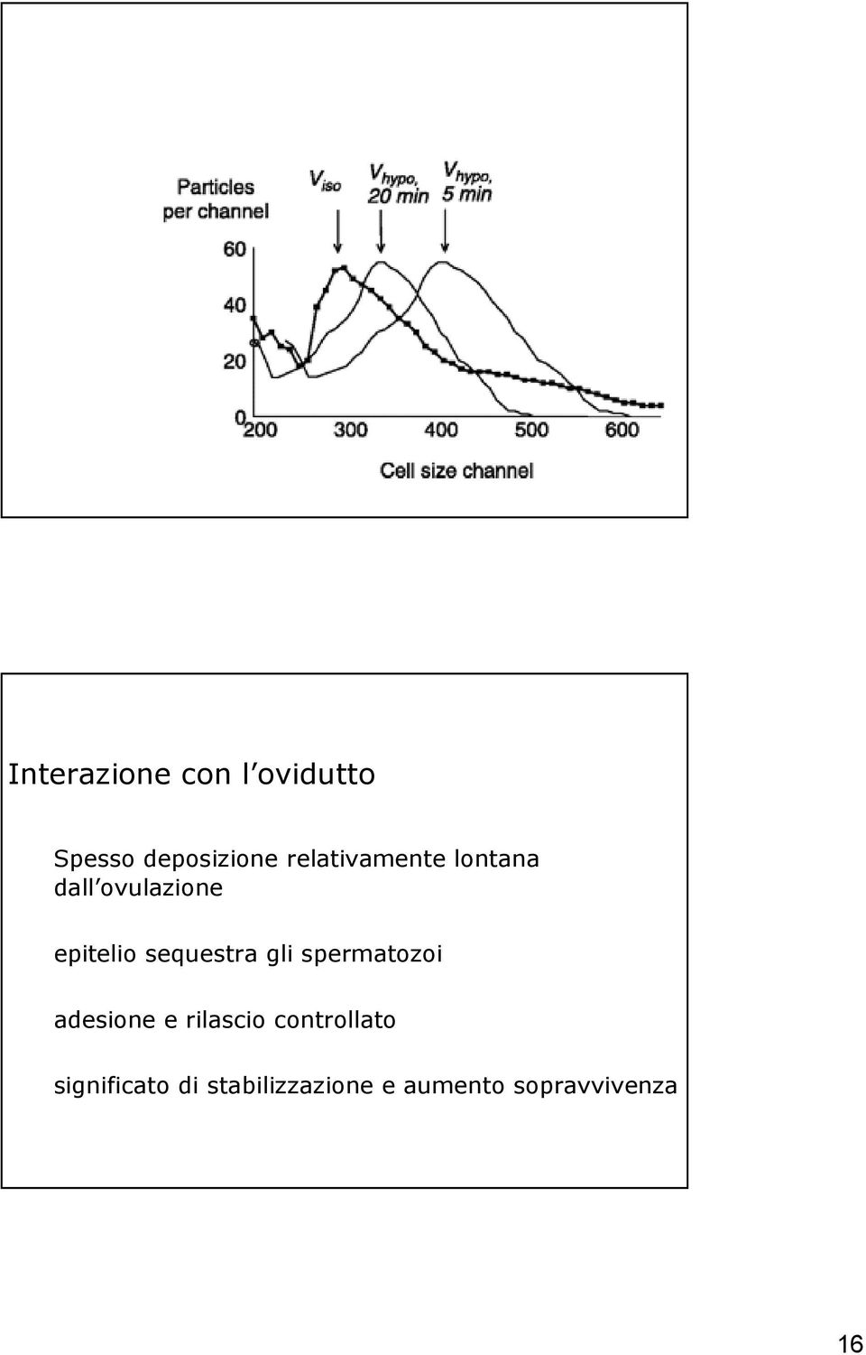 sequestra gli spermatozoi adesione e rilascio