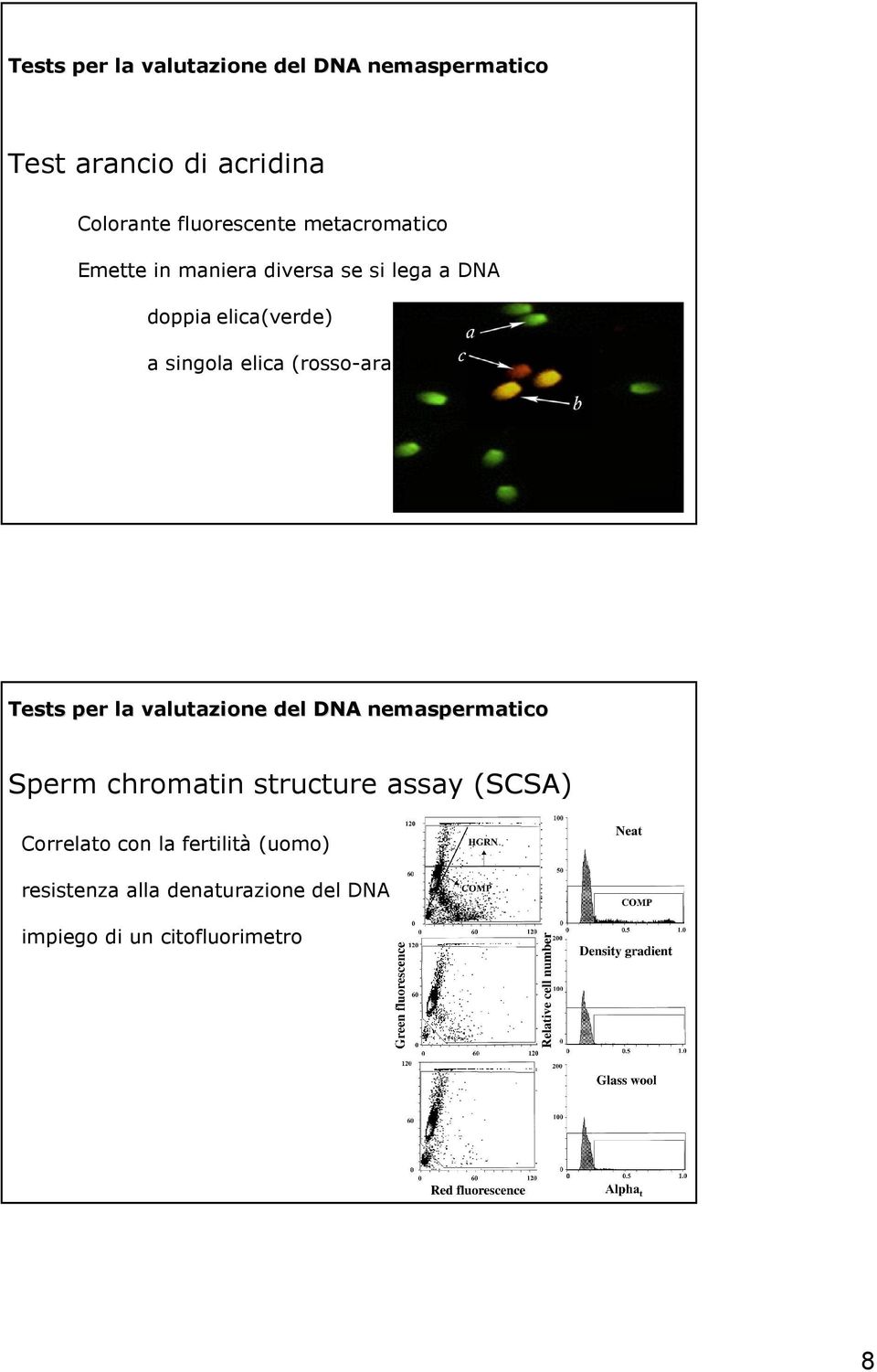 (rosso-arancio) Testsper la valutazione del DNA nemaspermatico Sperm chromatin structure assay