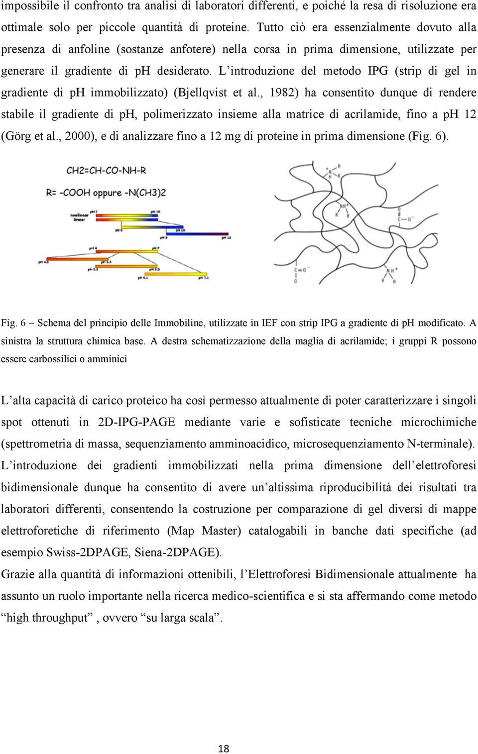 L introduzione del metodo IPG (strip di gel in gradiente di ph immobilizzato) (Bjellqvist et al.