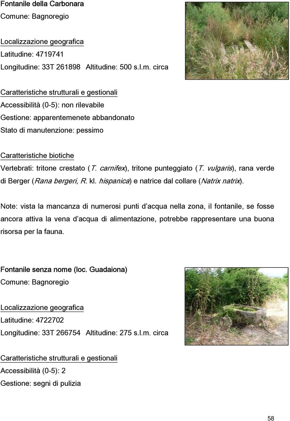 Note: vista la mancanza di numerosi punti d acqua nella zona, il fontanile, se fosse ancora attiva la vena d acqua di alimentazione, potrebbe rappresentare una buona risorsa per la fauna.