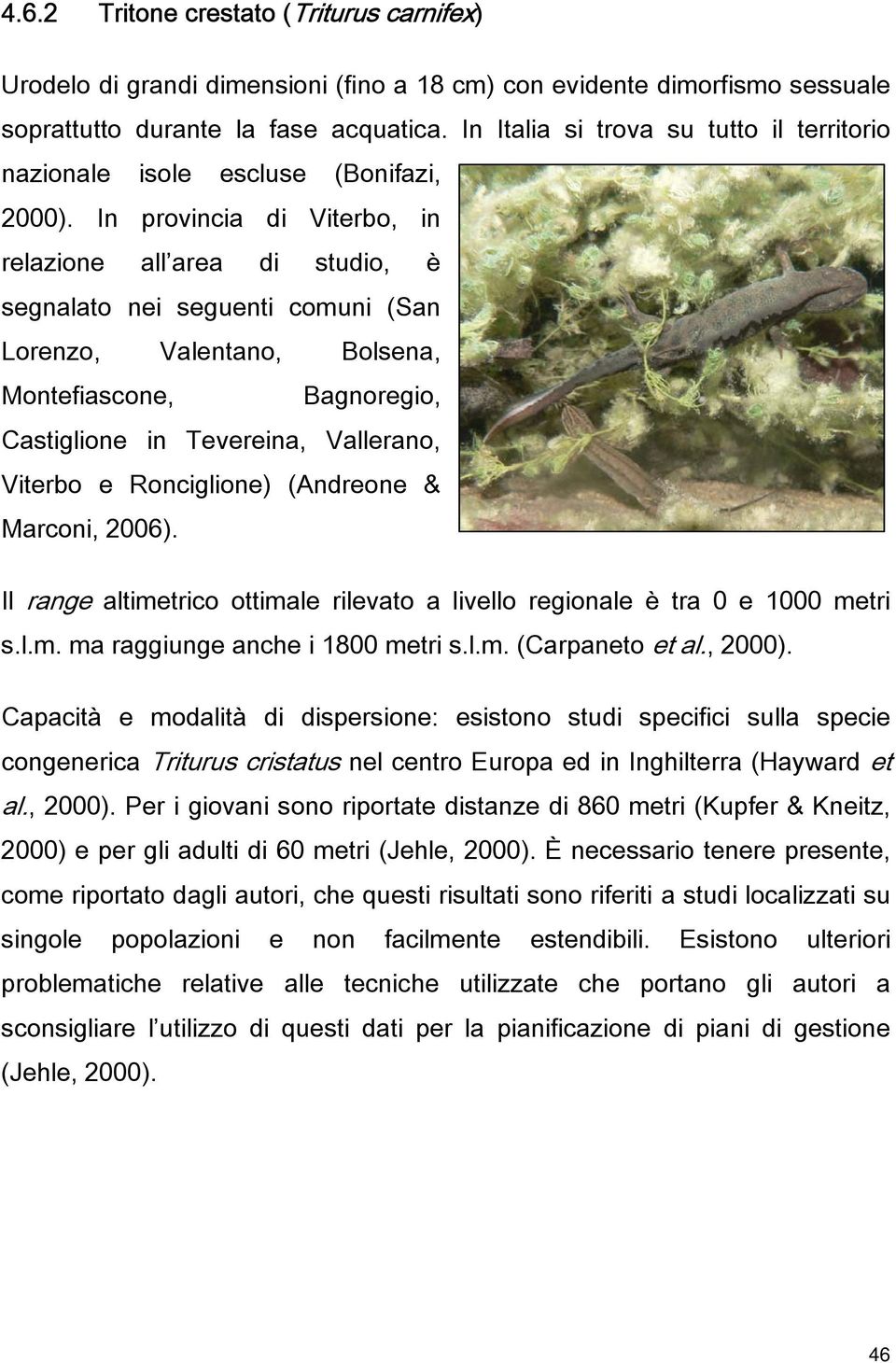 In provincia di Viterbo, in relazione all area di studio, è segnalato nei seguenti comuni (San Lorenzo, Valentano, Bolsena, Montefiascone, Bagnoregio, Castiglione in Tevereina, Vallerano, Viterbo e