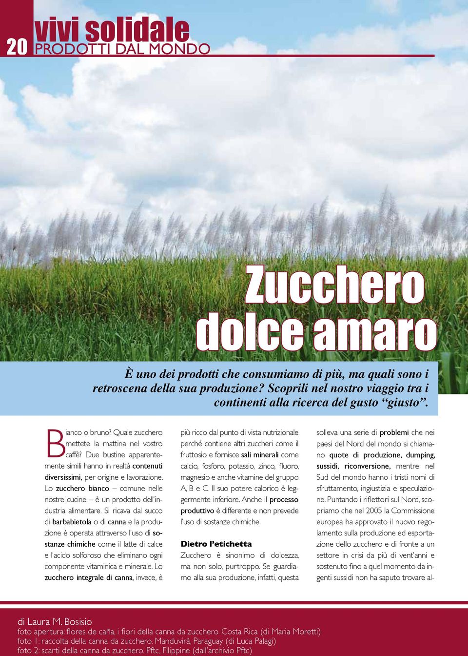 Due bustine apparentemente simili hanno in realtà contenuti diversissimi, per origine e lavorazione. Lo zucchero bianco comune nelle nostre cucine è un prodotto dell industria alimentare.