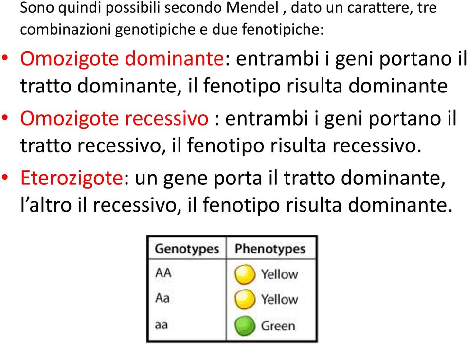 dominante Omozigote recessivo : entrambi i geni portano il tratto recessivo, il fenotipo risulta