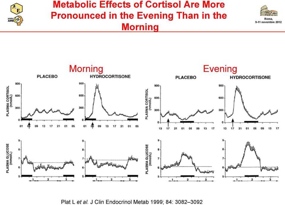 Morning Morning Evening Plat L et al.