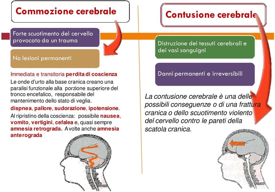 Al ripristino della coscienza: possibile nausea, vomito, vertigini, cefalea e, quasi sempre amnesia retrograda.