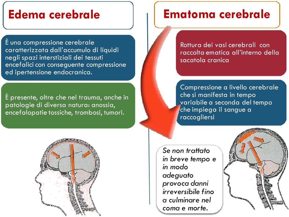 È presente, oltre che nel trauma, anche in patologie di diversa natura: anossia, encefalopatie tossiche, trombosi, tumori.