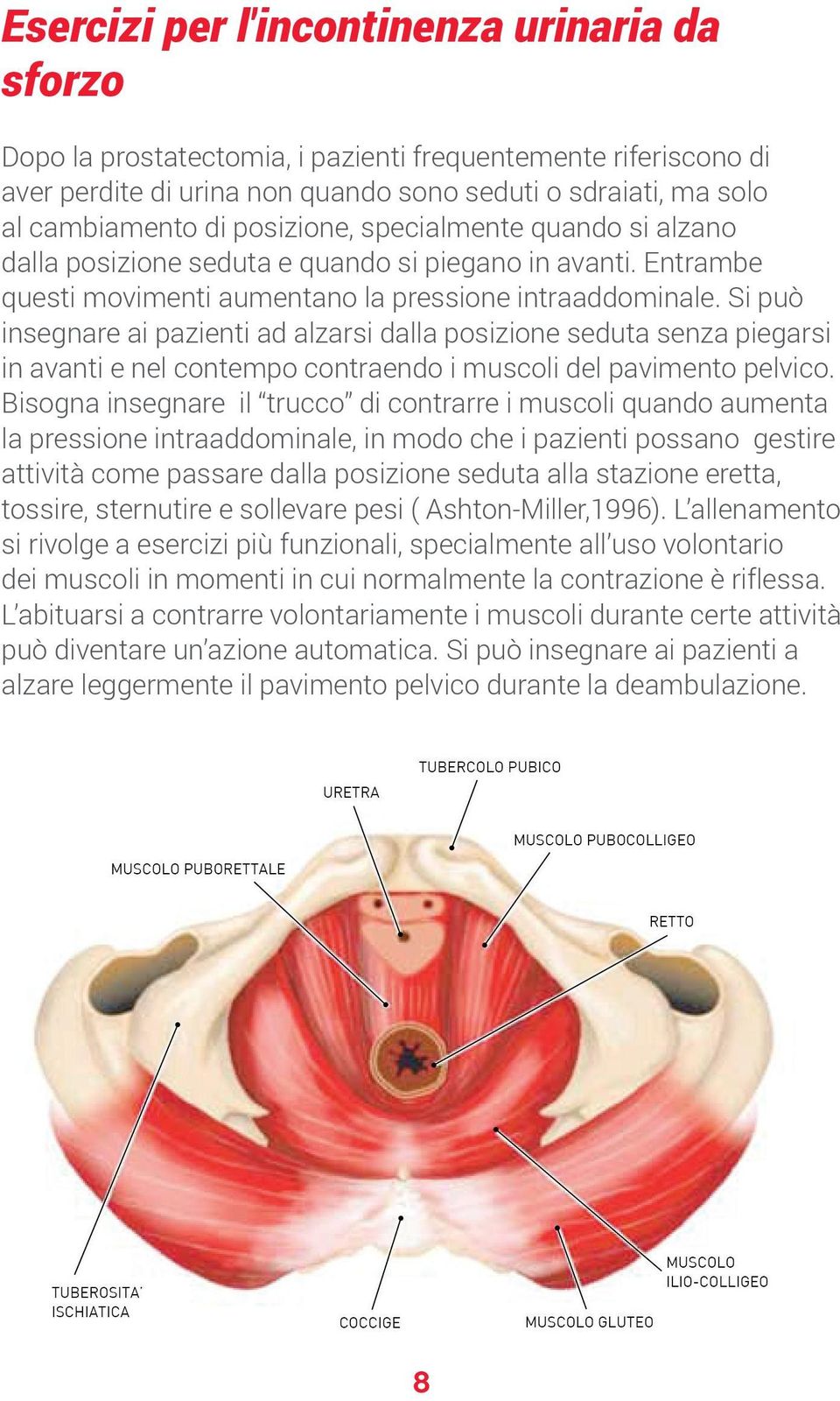 Si può insegnare ai pazienti ad alzarsi dalla posizione seduta senza piegarsi in avanti e nel contempo contraendo i muscoli del pavimento pelvico.