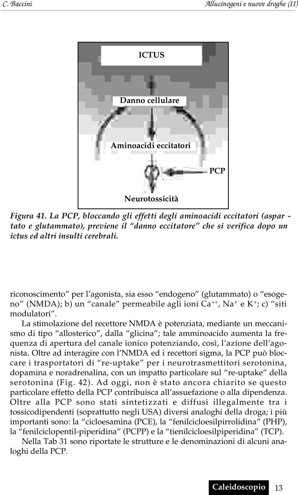 riconoscimento per l agonista, sia esso endogeno (glutammato) o esogeno (NMDA); b) un canale permeabile agli ioni Ca + +, Na + e K + ; c) siti modulatori.