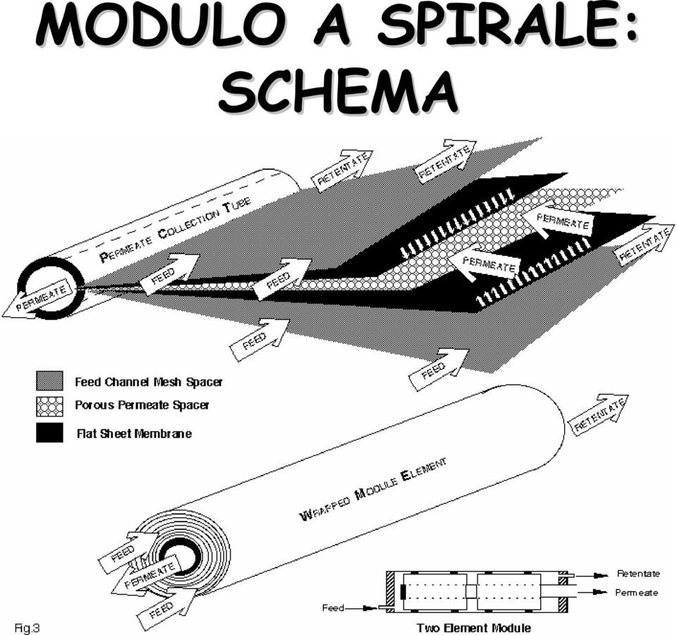 SCHEMA