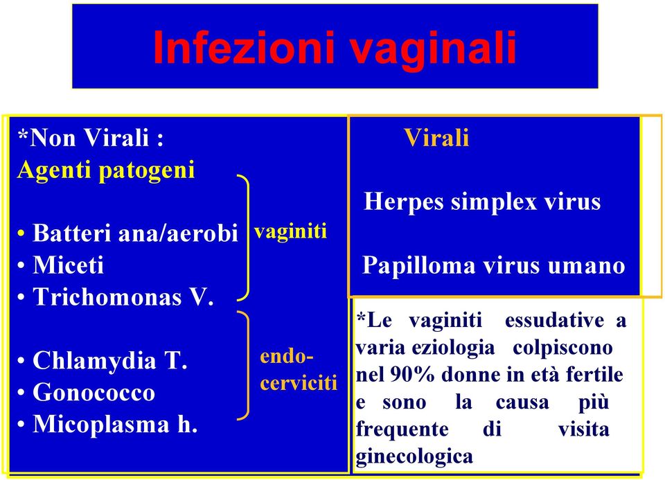 vaginiti endocerviciti Virali Herpes simplex virus Papilloma virus umano *Le