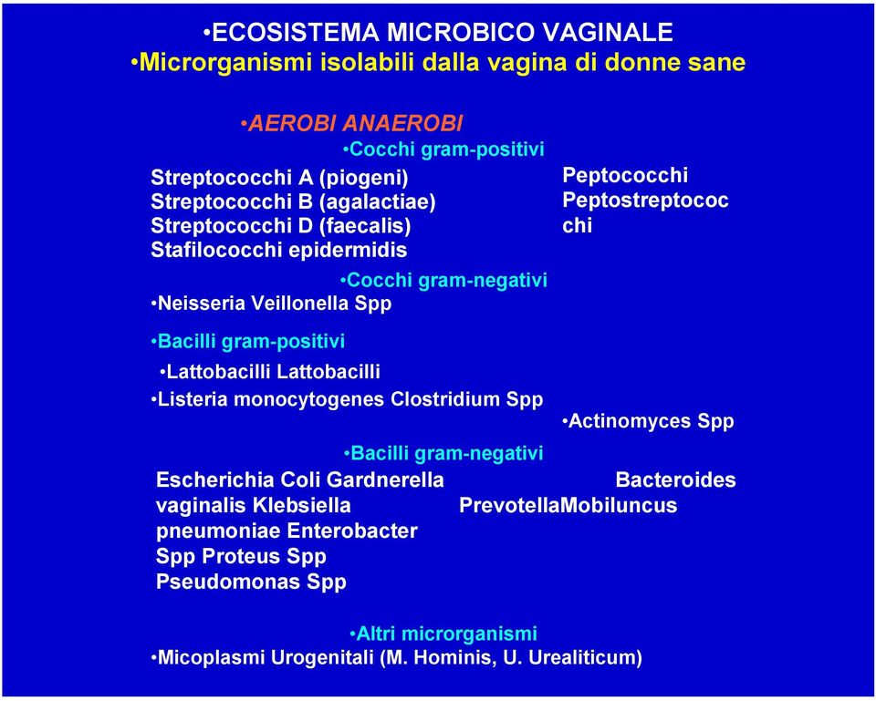 gram-positivi Lattobacilli Lattobacilli Listeria monocytogenes Clostridium Spp Bacilli gram-negativi Escherichia Coli Gardnerella vaginalis Klebsiella