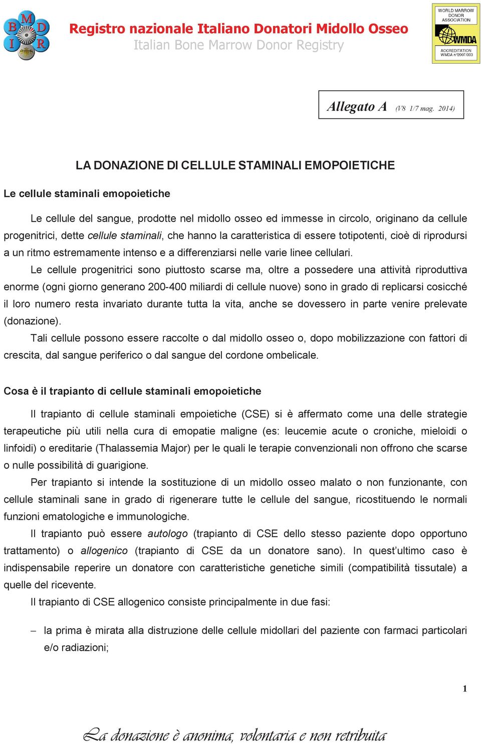 dette cellule staminali, che hanno la caratteristica di essere totipotenti, cioè di riprodursi a un ritmo estremamente intenso e a differenziarsi nelle varie linee cellulari.