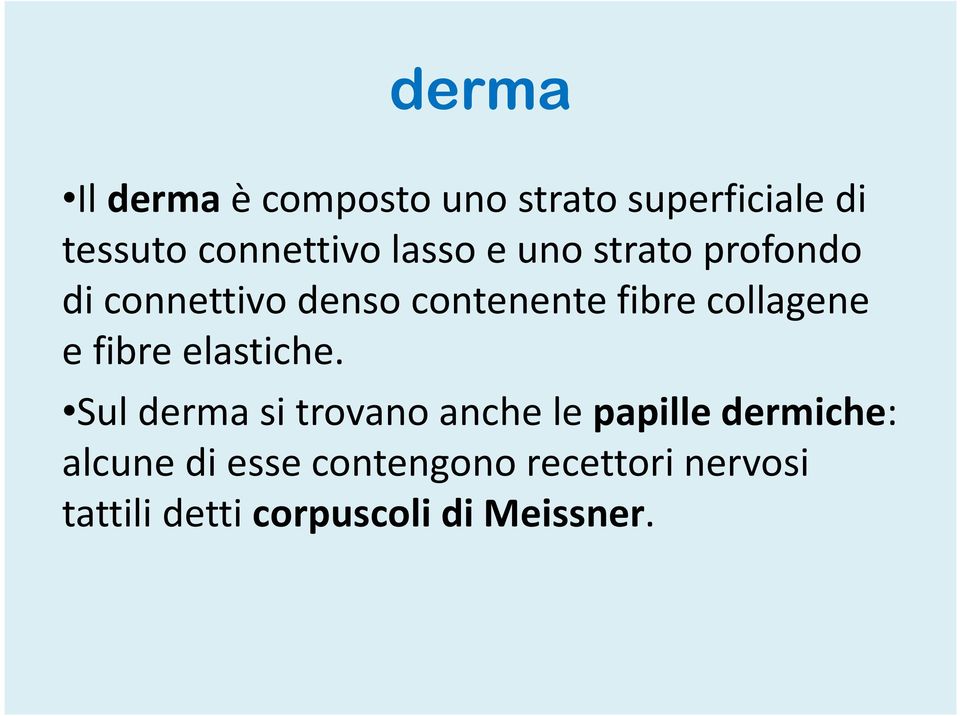 collagene e fibre elastiche.