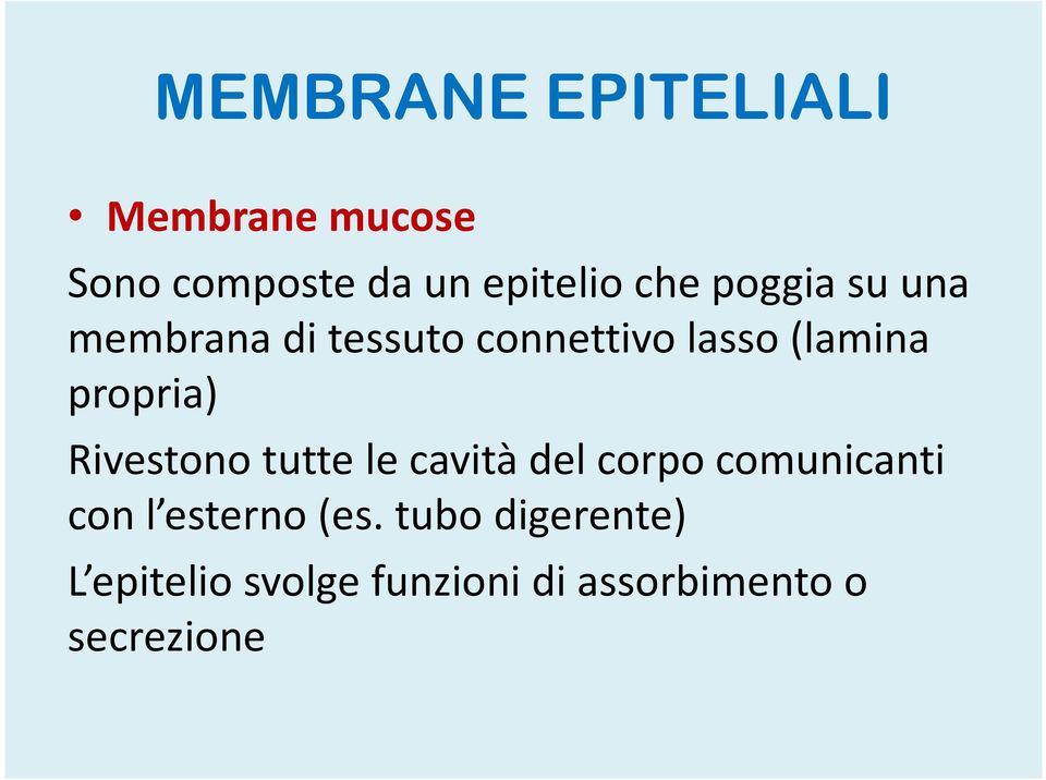 Rivestono tutte le cavità del corpo comunicanti con l esterno (es.