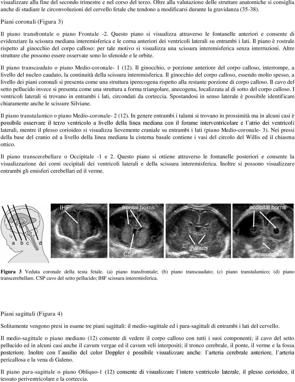 Piani coronali (Figura 3) Il piano transfrontale o piano Frontale -2.