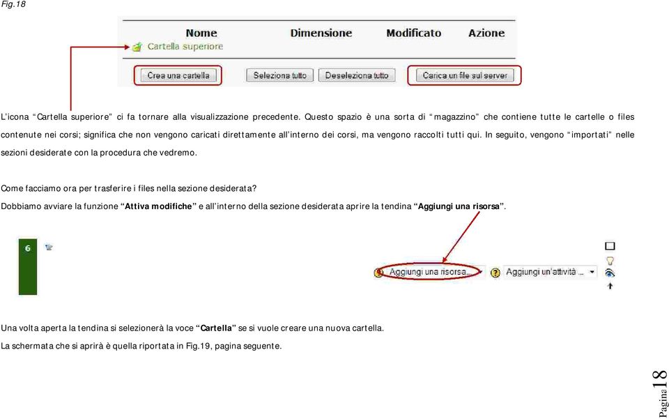 raccolti tutti qui. In seguito, vengono importati nelle sezioni desiderate con la procedura che vedremo. Come facciamo ora per trasferire i files nella sezione desiderata?