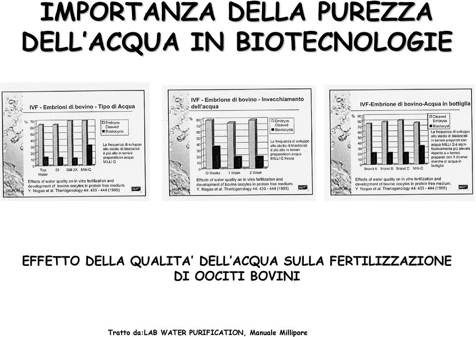 ACQUA SULLA FERTILIZZAZIONE DI OOCITI