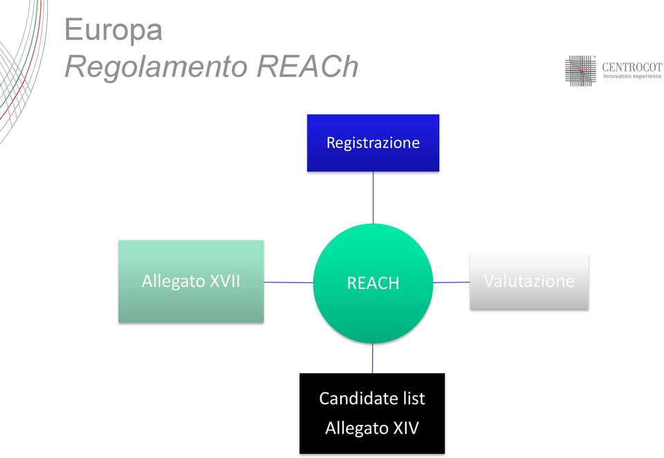 XVII REACH Valutazione