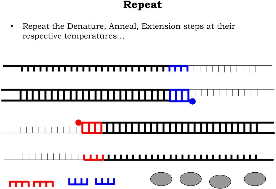 Extension steps at