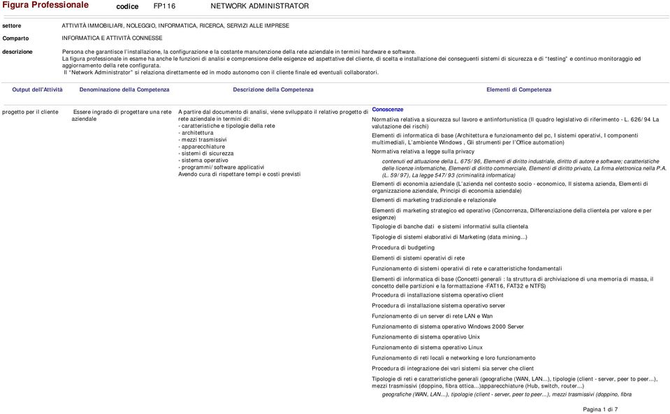 La figura professionale in esame ha anche le funzioni di analisi e comprensione delle esigenze ed aspettative del cliente, di scelta e installazione dei conseguenti sistemi di sicurezza e di testing