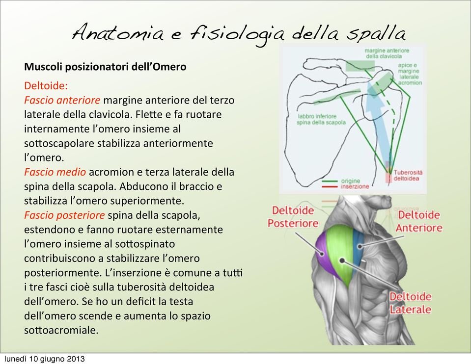 Abducono il braccio e stabilizza l omero superiormente.