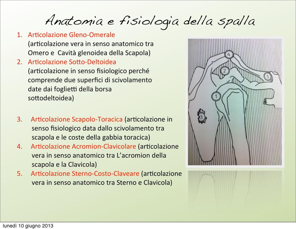 Ar3colazione Scapolo- Toracica (ar3colazione in senso fisiologico data dallo scivolamento tra scapola e le coste della gabbia toracica) 4.