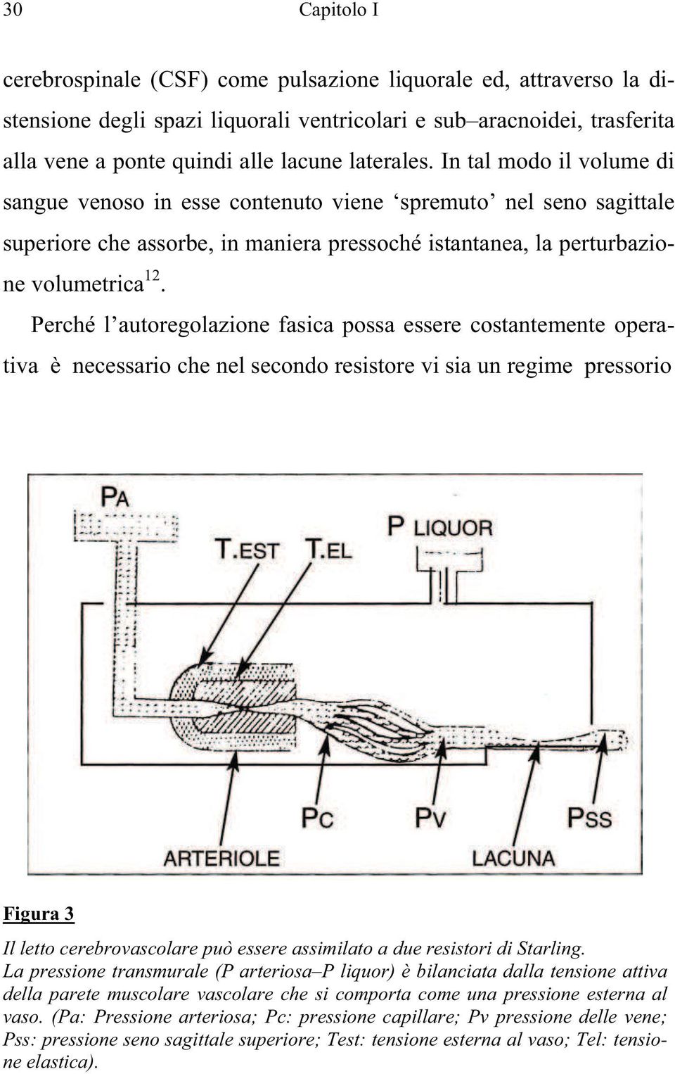 Perché l autoregolazione fasica possa essere costantemente operativa è necessario che nel secondo resistore vi sia un regime pressorio Figura 3 Il letto cerebrovascolare può essere assimilato a due