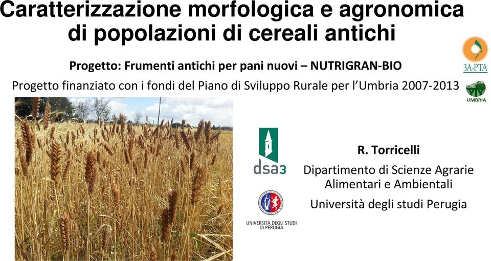 i fondi del Piano di Sviluppo Rurale per l Umbria 2007 2013 R.