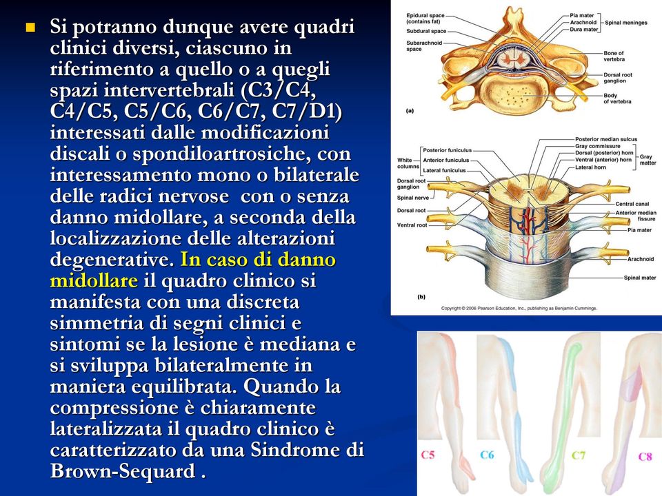 delle alterazioni degenerative.