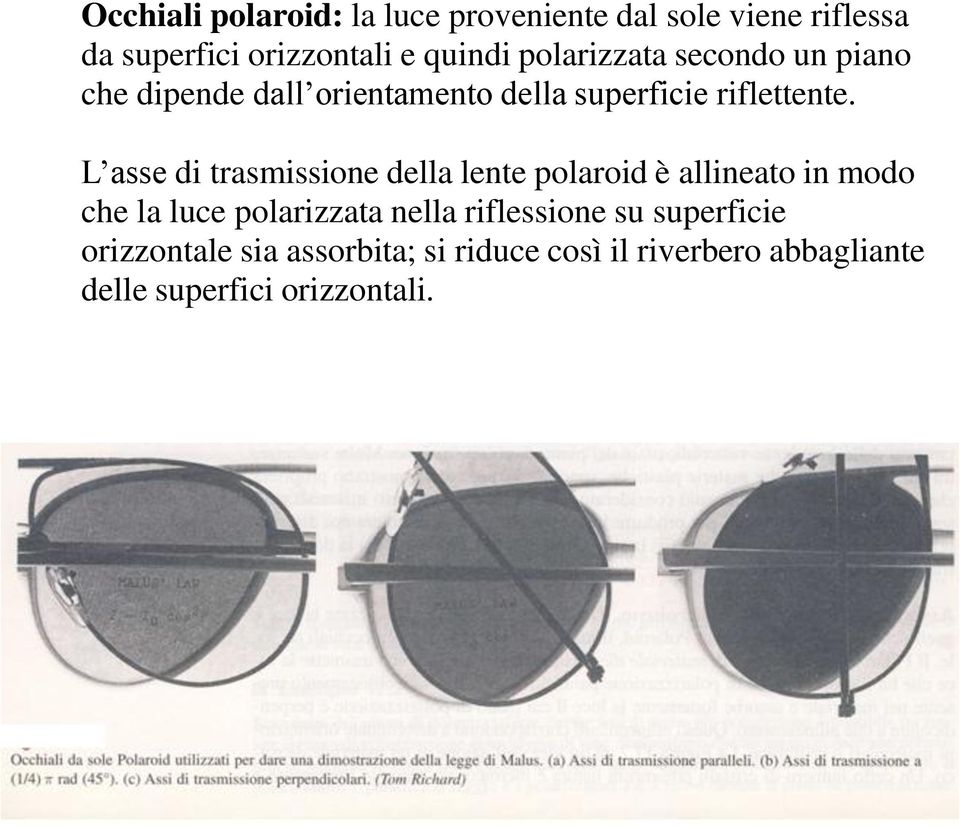 L asse di trasmissione della lente polaroid è allineato in modo che la luce polarizzata nella
