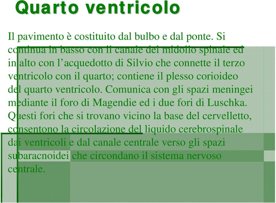 contiene il plesso corioideo del quarto ventricolo. Comunica con gli spazi meningei mediante il foro di Magendie ed i due fori di Luschka.