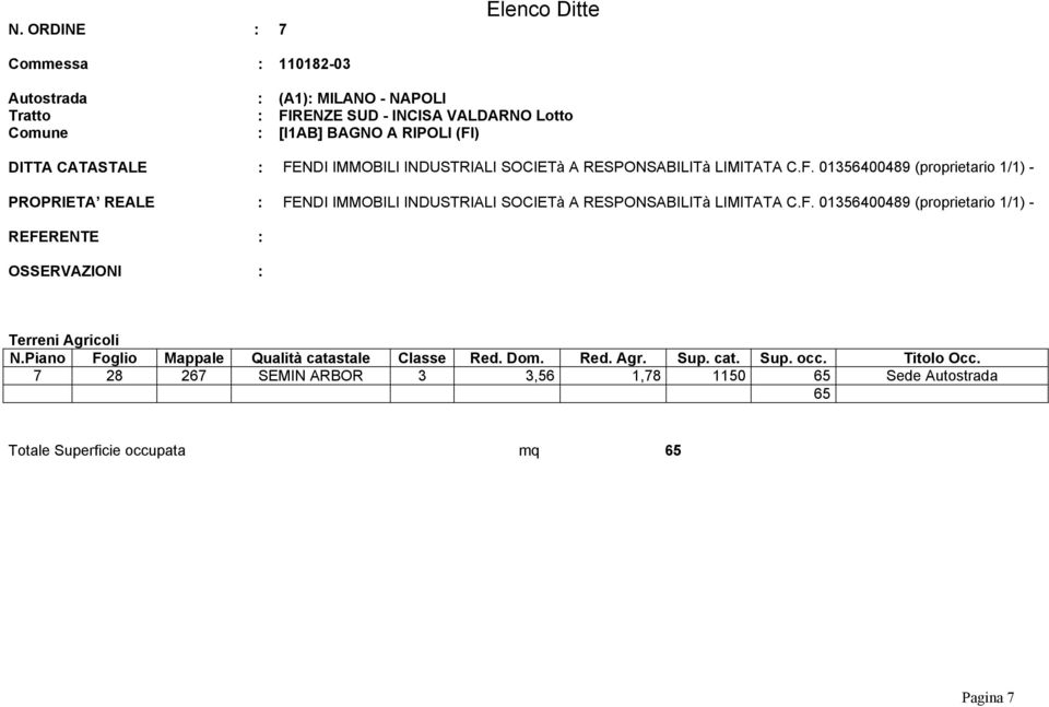 01356400489 (proprietario 1/1) - PROPRIETA REALE : FENDI IMMOBILI INDUSTRIALI SOCIETà A