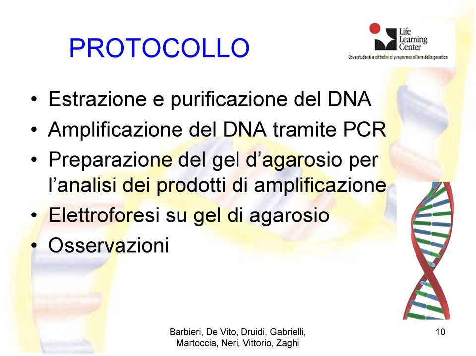 gel d agarosio per l analisi dei prodotti di