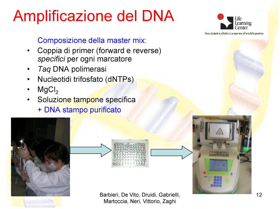 marcatore Taq DNA polimerasi Nucleotidi trifosfato