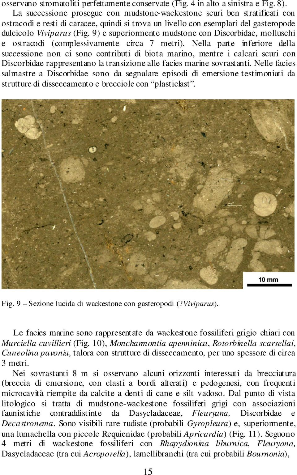 9) e superiormente mudstone con Discorbidae, molluschi e ostracodi (complessivamente circa 7 metri).