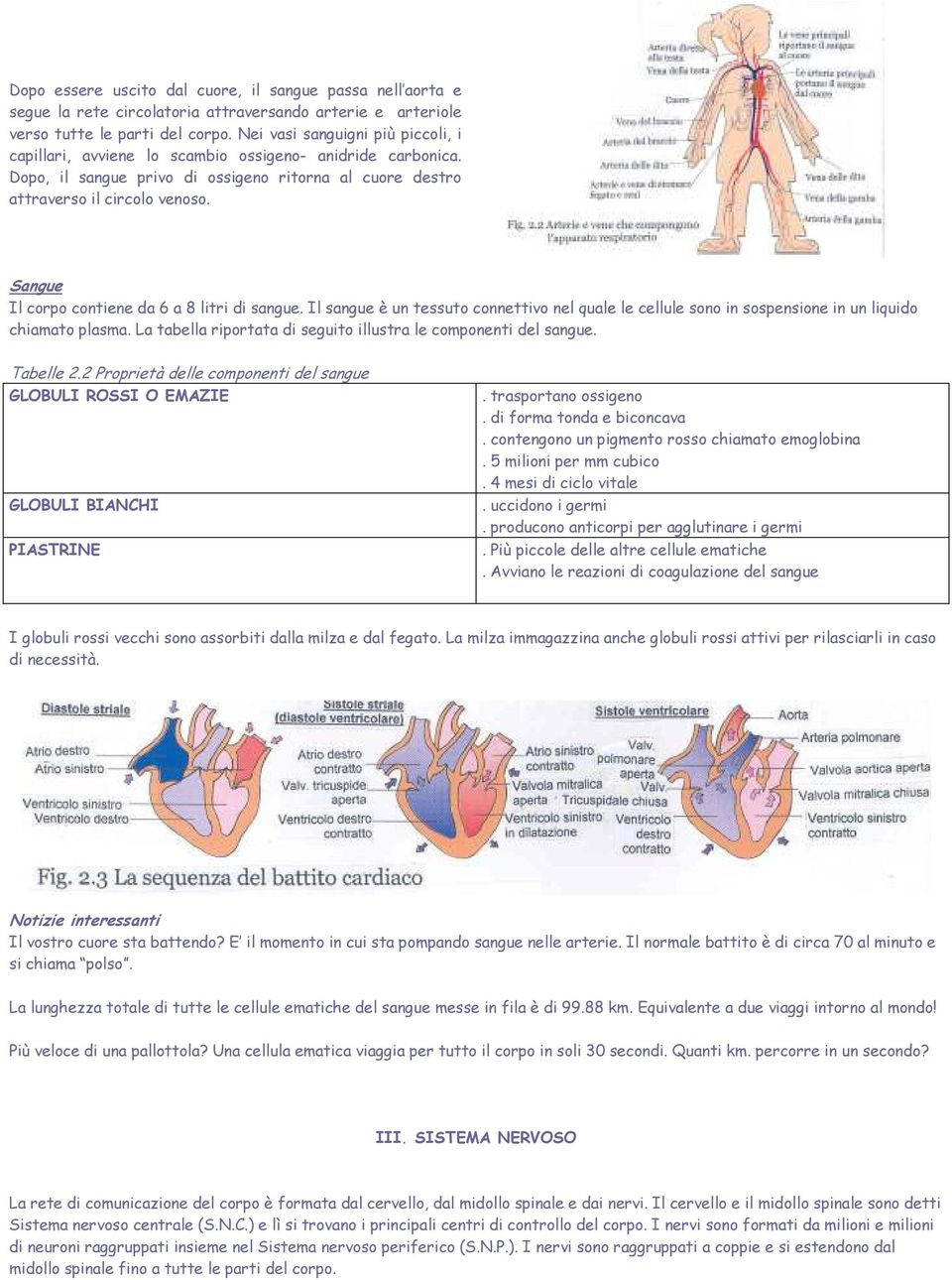 Sangue Il corpo contiene da 6 a 8 litri di sangue. Il sangue è un tessuto connettivo nel quale le cellule sono in sospensione in un liquido chiamato plasma.