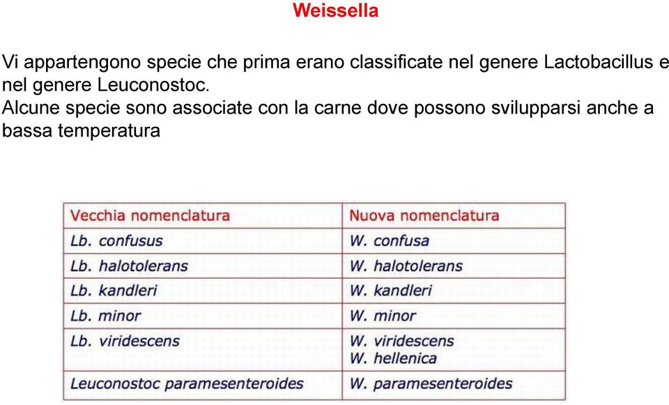 Leuconostoc.