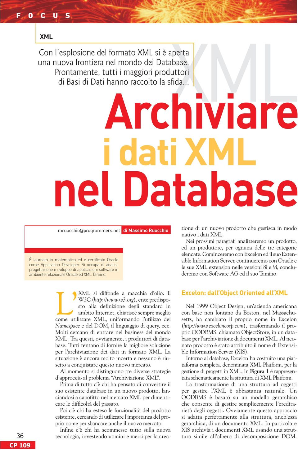 Si occupa di analisi, progettazione e sviluppo di applicazioni software in ambiente relazionale Oracle ed Tamino. L si diffonde a macchia d olio. Il W3C (http://www.w3.