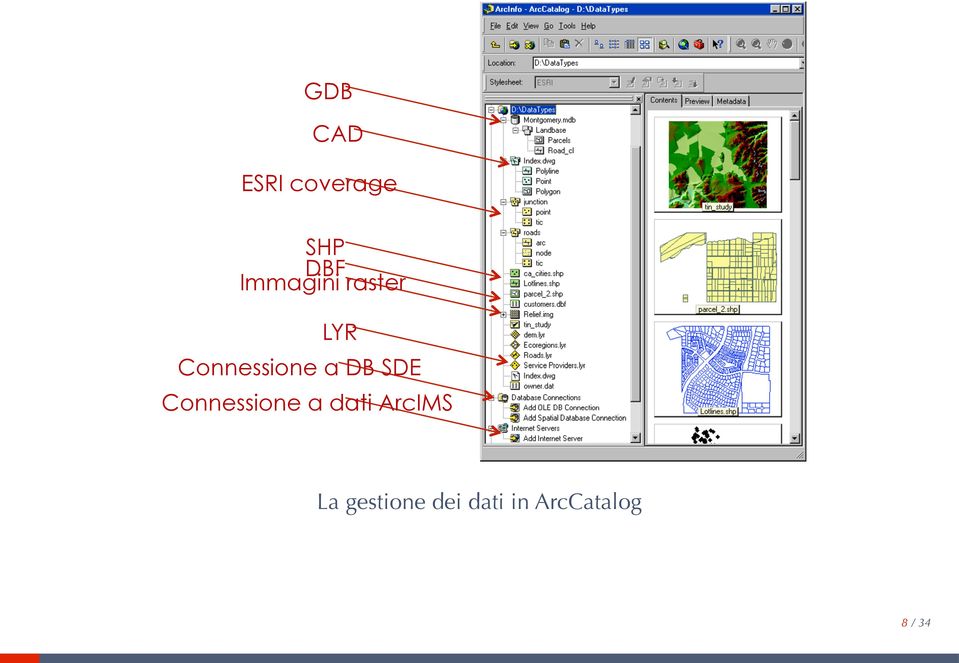 DB SDE Connessione a dati ArcIMS