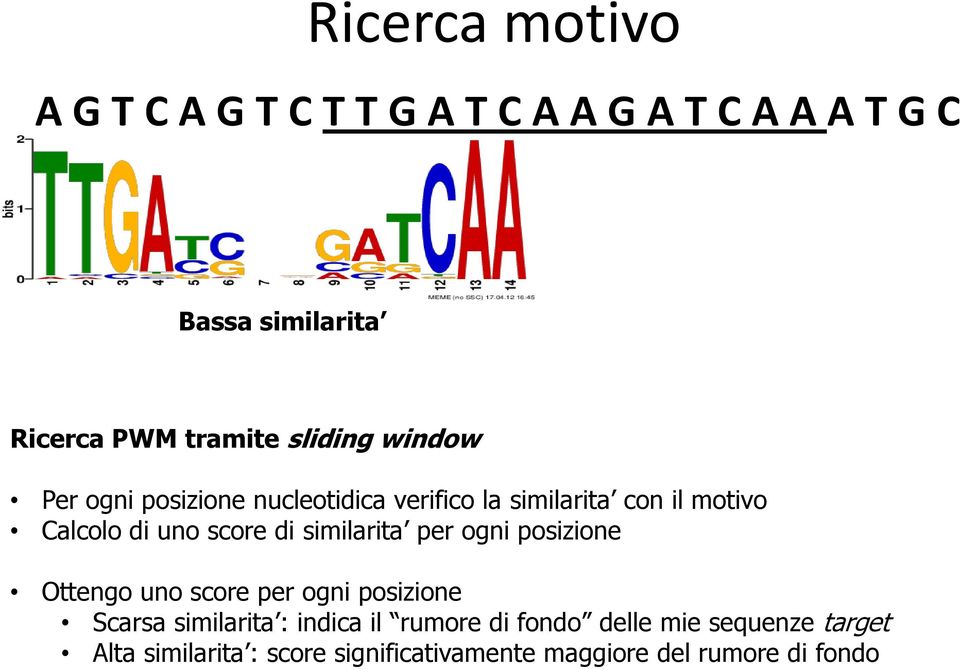 di similarita per ogni posizione Ottengo uno score per ogni posizione Scarsa similarita : indica il