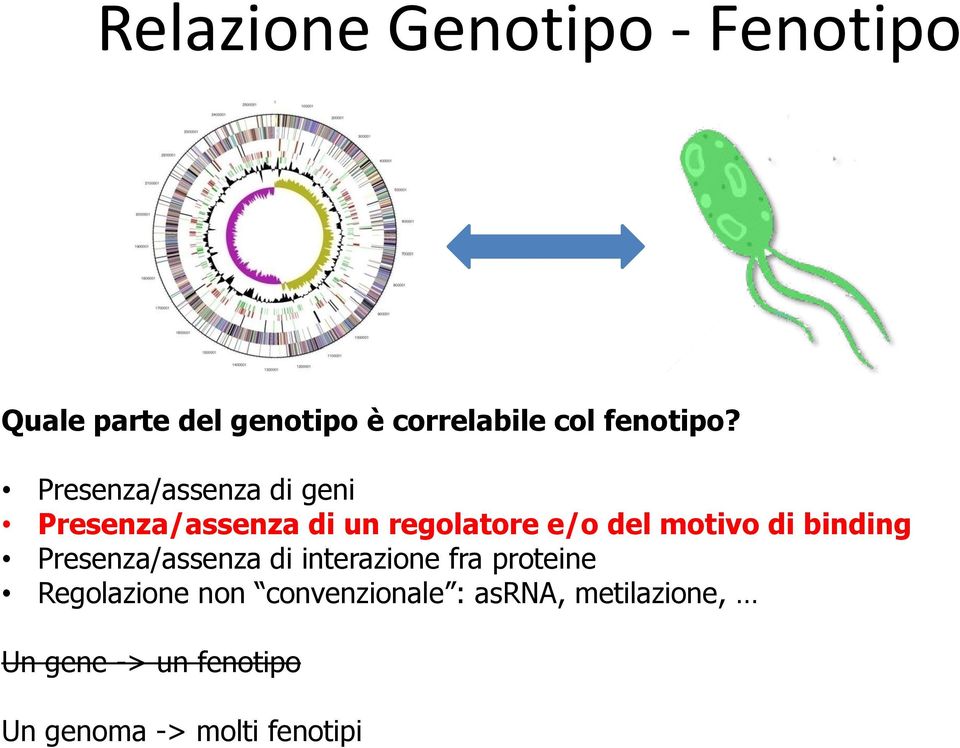 Presenza/assenza di geni Presenza/assenza di un regolatore e/o del motivo di